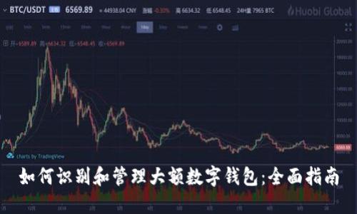 如何识别和管理大额数字钱包：全面指南