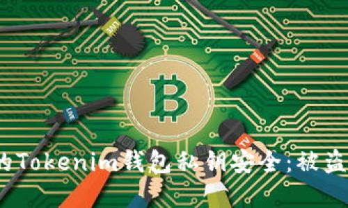  如何保护您的Tokenim钱包私钥安全：被盗后的应对措施