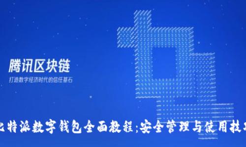 :
比特派数字钱包全面教程:安全管理与使用技巧