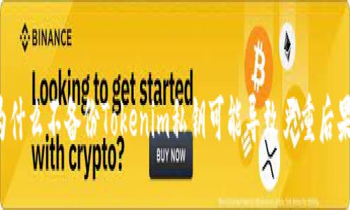 为什么不备份Tokenim私钥可能导致严重后果?
