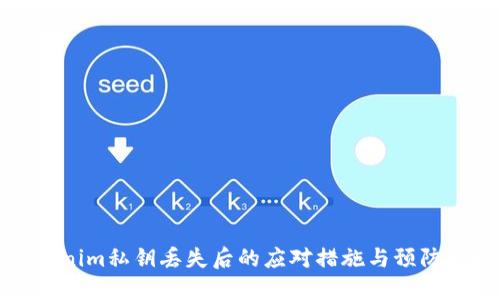 Tokenim私钥丢失后的应对措施与预防指南