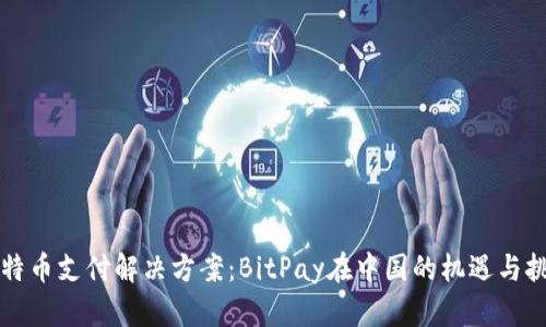 比特币支付解决方案:BitPay在中国的机遇与挑战