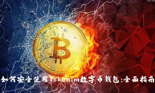 如何安全使用Tokenim数字币钱包:全面指南