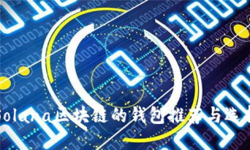 支持Solana区块链的钱包推荐与选择指南