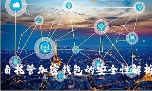 自托管加密钱包的安全性解析