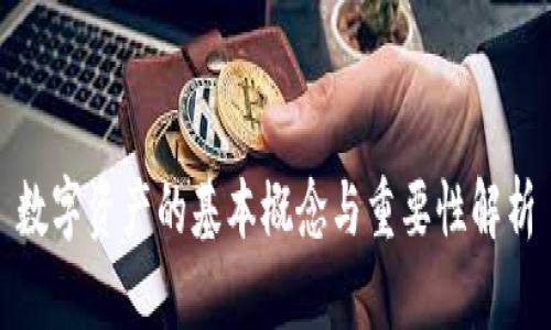 数字资产的基本概念与重要性解析