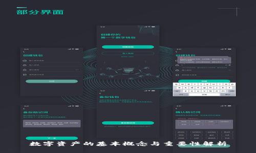 数字资产的基本概念与重要性解析