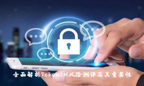 全面解析TokenIM风险测评及其重要性