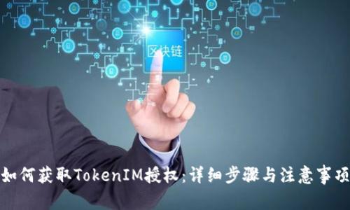 如何获取TokenIM授权:详细步骤与注意事项