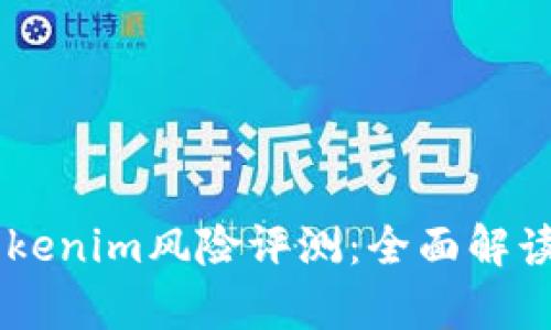 了解Tokenim风险评测:全面解读与分析