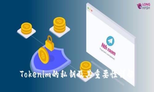 Tokenim的私钥及其重要性详解