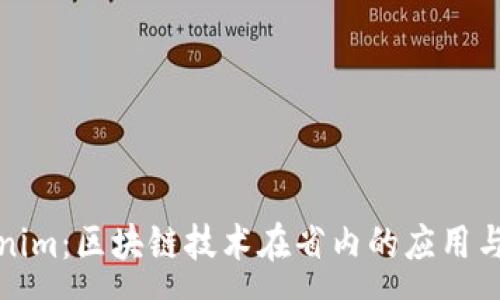 :  
河南Tokenim：区块链技术在省内的应用与发展前景