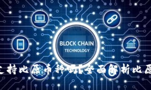 Tokenim钱包支持比原币种吗？全面解析比原币的支持情况
