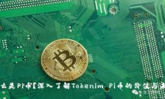 什么是Pi币？深入了解To