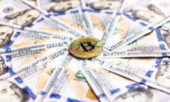 在讨论“tokenim用退出吗”
