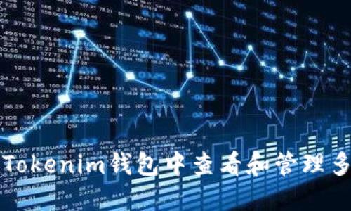 如何在Tokenim钱包中查看和管理多签账户