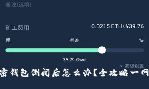 : 加密钱包倒闭后怎么办？全攻略一网打尽