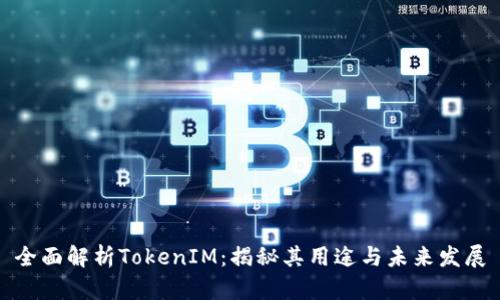 全面解析TokenIM:揭秘其用途与未来发展