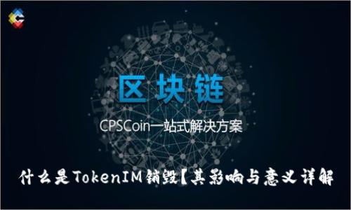 什么是TokenIM销毁?其影响与意义详解