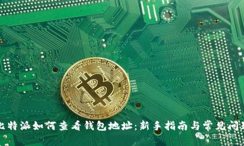 比特派如何查看钱包地址：新手指南与常见问题