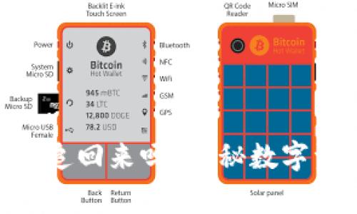 Tokenim被盗报警能追回来吗？揭秘数字资产盗窃的取回方法