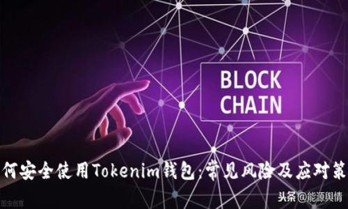 如何安全使用Tokenim钱包：常见风险及应对策略