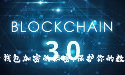 区块链电子钱包加密的秘密：保护你的数字资产安全
