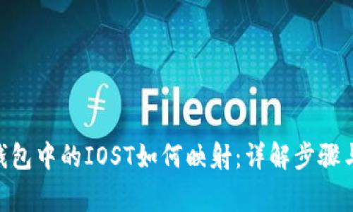 Tokenim钱包中的IOST如何映射:详解步骤与注意事项