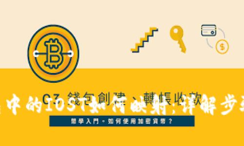 Tokenim钱包中的IOST如何映射:详解步骤与注意事项