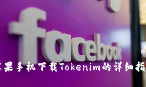 苹果手机下载Tokenim的详细指南