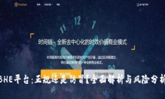  BHE平台：正规还是仿冒？