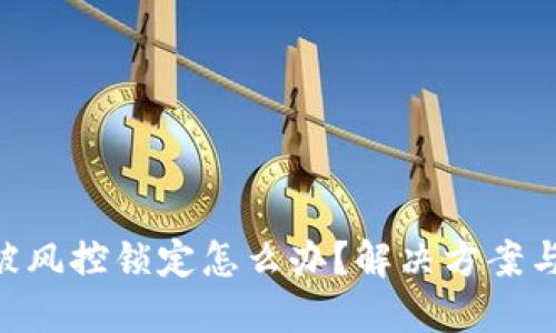 TokenIM被风控锁定怎么办?解决方案与预防措施