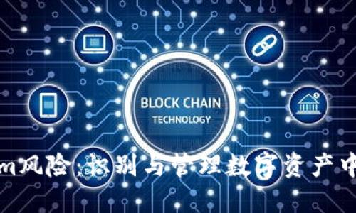理解Tokenim风险：识别与管理数字资产中的潜在威胁