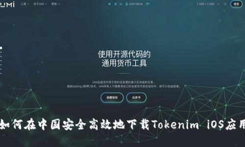 如何在中国安全高效地下载Tokenim iOS应用