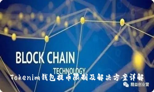 Tokenim钱包提币限制及解决方案详解