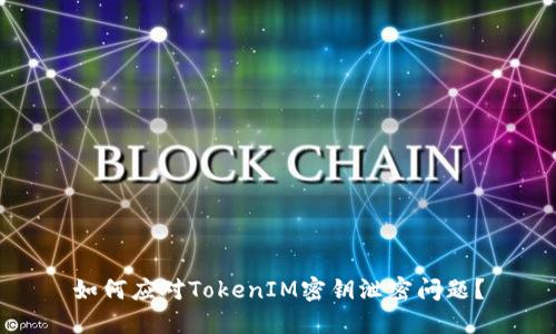如何应对TokenIM密钥泄密问题？