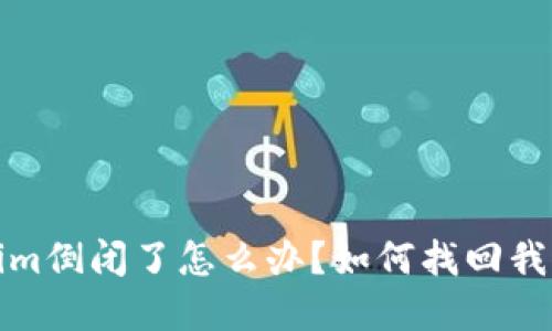 Tokenim倒闭了怎么办？如何找回我的资产