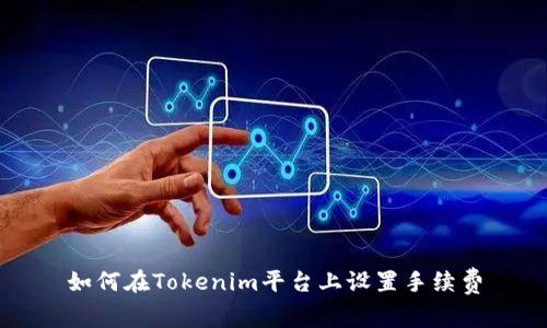 如何在Tokenim平台上设置手续费