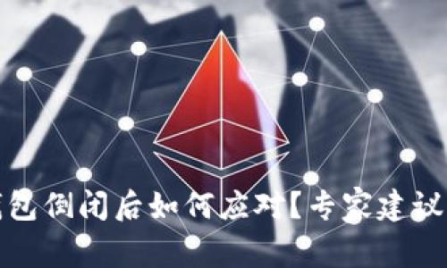 数字货币钱包倒闭后如何应对?专家建议与解决方案