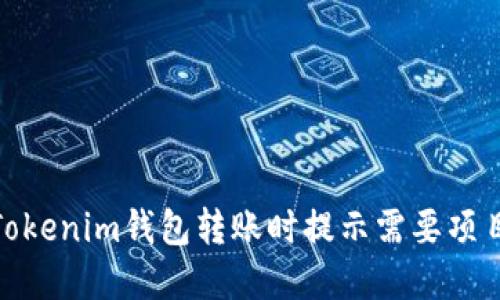 如何解决Tokenim钱包转账时提示需要项目ID的问题