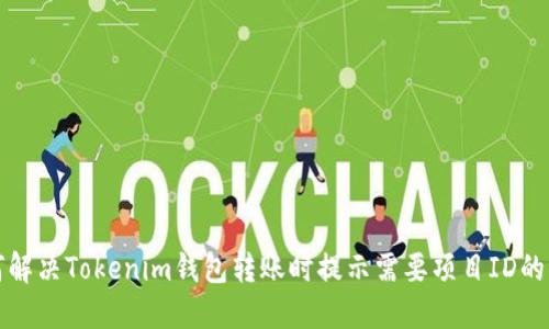 如何解决Tokenim钱包转账时提示需要项目ID的问题