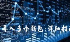 如何在Tokenim中导入多个钱