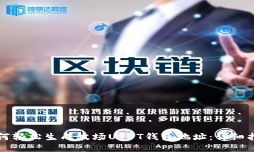 如何轻松生成波场USDT钱包地址：详细指南