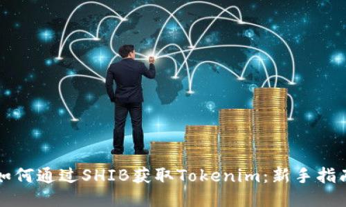 如何通过SHIB获取Tokenim:新手指南