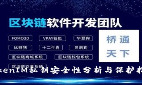 TokenIM私钥安全性分析与保护指南