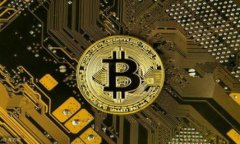 数字货币钱包的四种类型