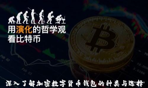 深入了解加密数字货币钱包的种类与选择