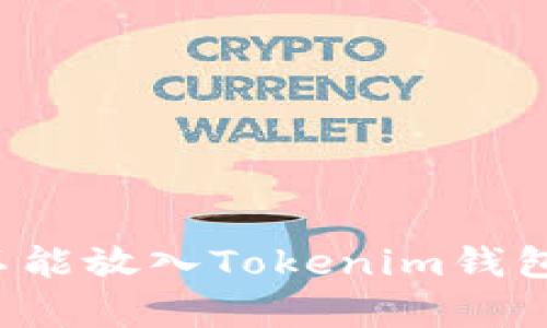 瑞波币为何不能放入Tokenim钱包?分析与解读