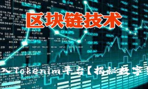 ## 数字货币能否转入Tokenim平台?揭秘数字货币与Tokenim的关系
