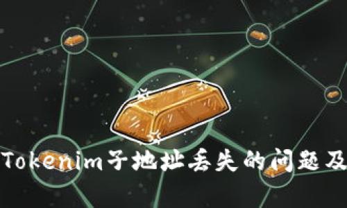 如何恢复Tokenim子地址丢失的问题及解决方案